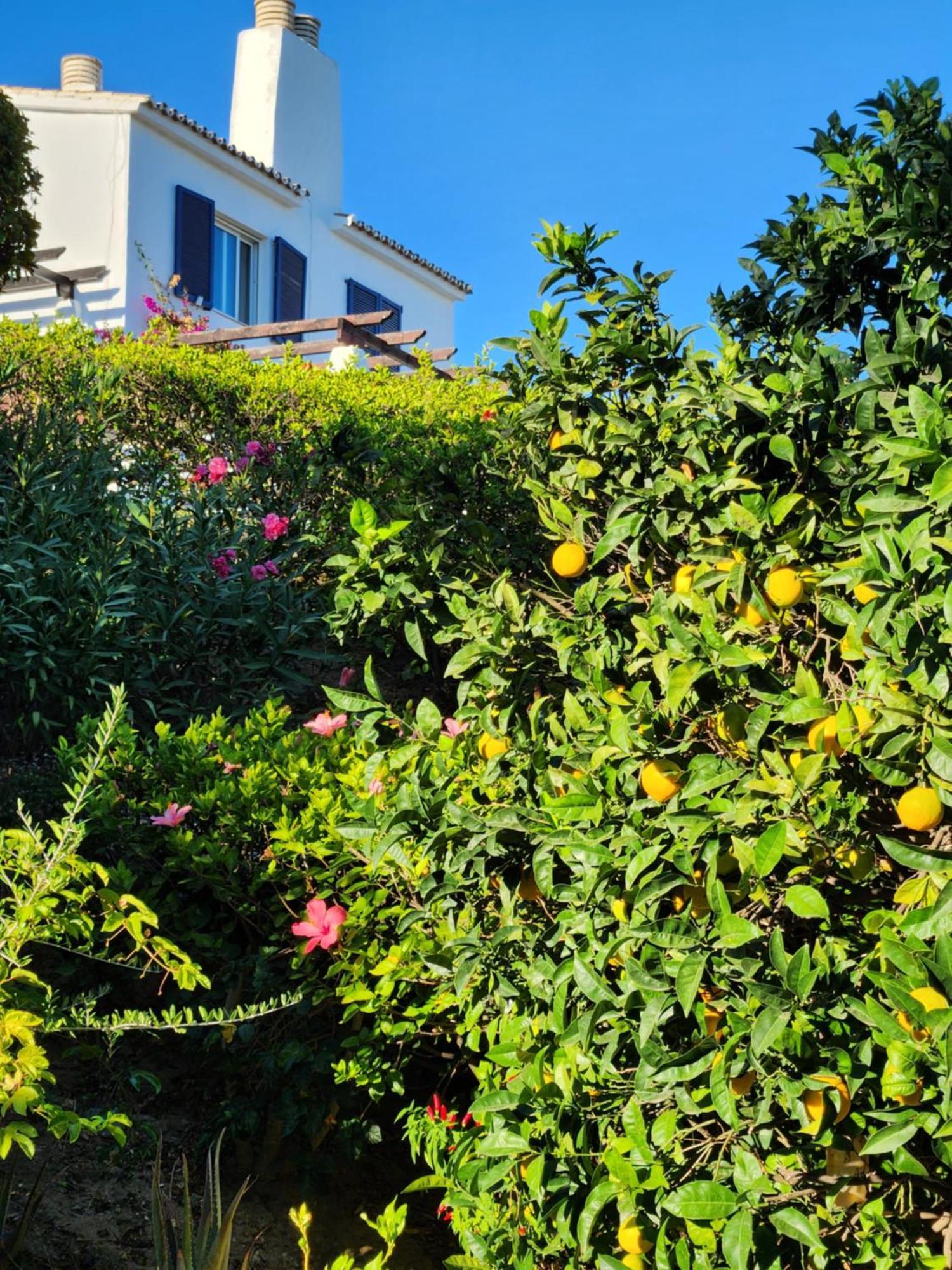 Elena Flat A Little Paradise Right On The Beach Sitio de Calahonda Luaran gambar